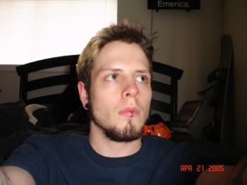 DAREV31