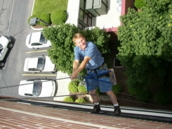 CARROTTOP